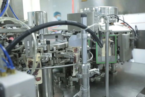 做一只醬鴨原來(lái)有這么多講究,看現(xiàn)代工藝如何還原老底子的味道