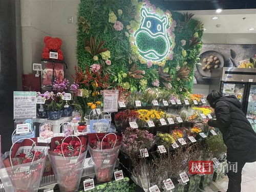 鮮花消費日?；厔菝黠@，武漢時令春花綻放新商機